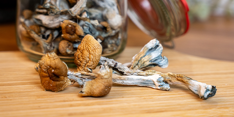 How to make hot chocolate with mushrooms