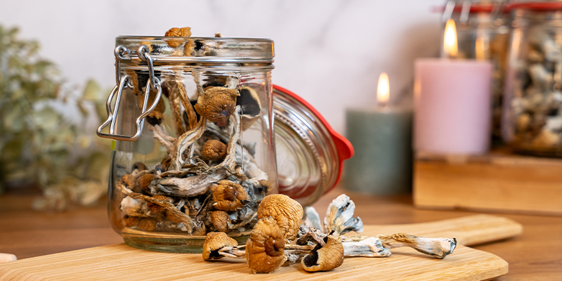 Selecting the right mushrooms for hot chocolate