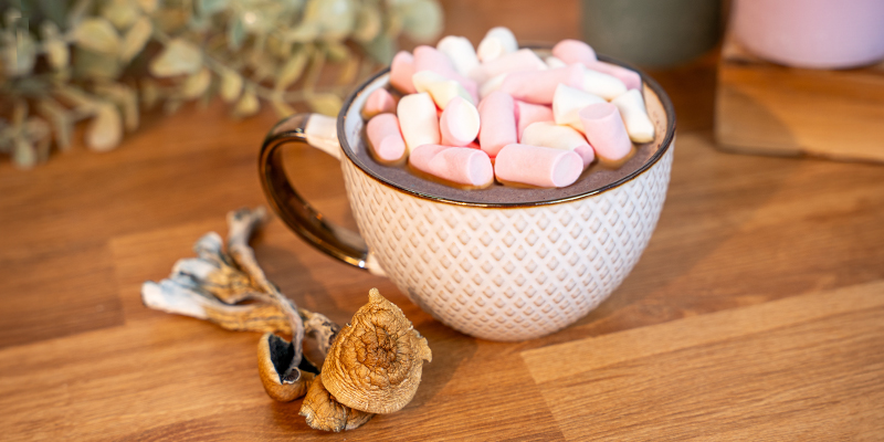 What is mushroom chocolate?
