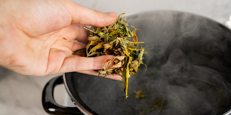 Bring Water To A Boil