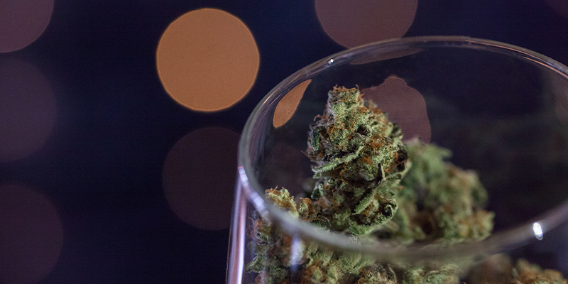 How To Brew Cannabis Into Wine