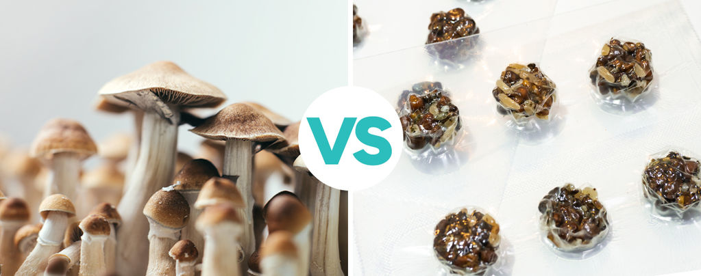 What's the difference between magic truffles and magic mushrooms?