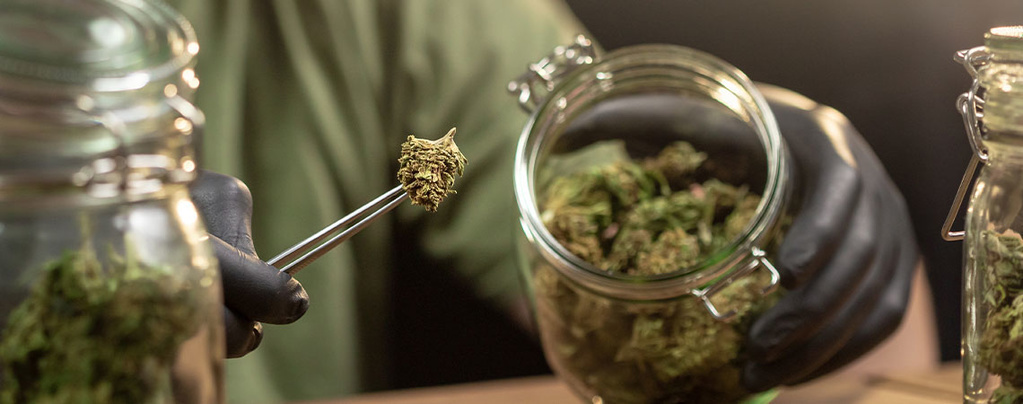 How to store weed properly 