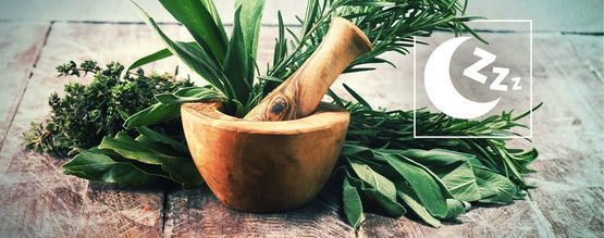 Best Natural Herbs to Promote Sleep