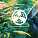 Ventilation In The Cannabis Grow Space