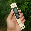 Best EC for cannabis