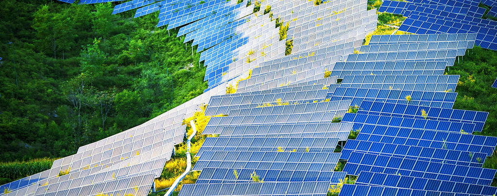 How Solar-Panels Could Revolutionise Grow Rooms