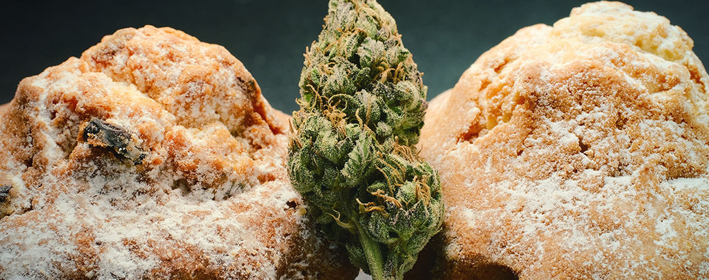 The Dutch Edible Cannabis Rennaissance