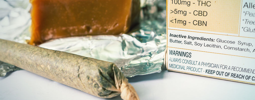 10 Unusual Facts About Cannabis