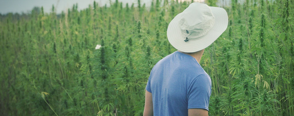 Famed Cannabis Pioneer Franco Loja Has Died Aged 42