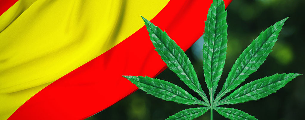 Bilbao cannabis
