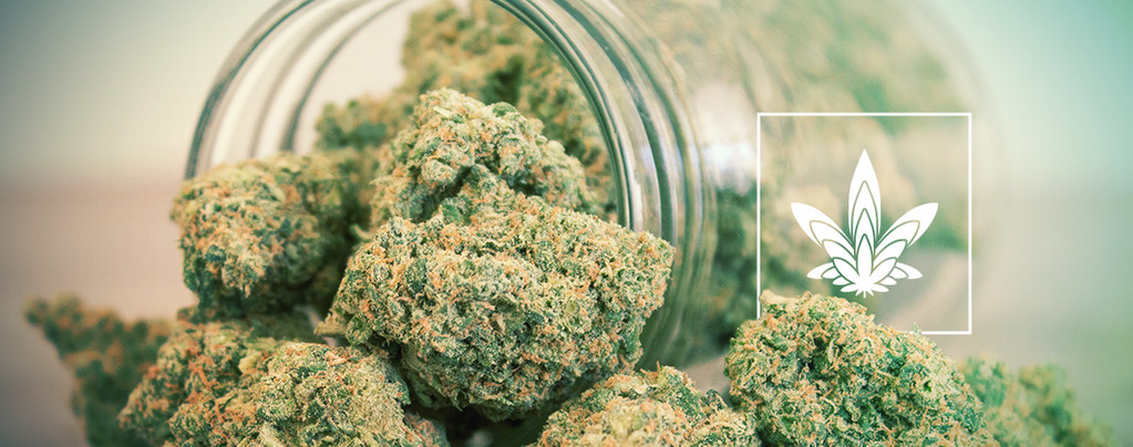 Big Cannabis Buds