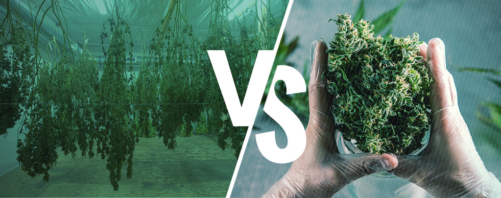 Wet Vs Dry Trimming