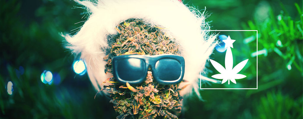 Cannabis-Themed Christmas Party