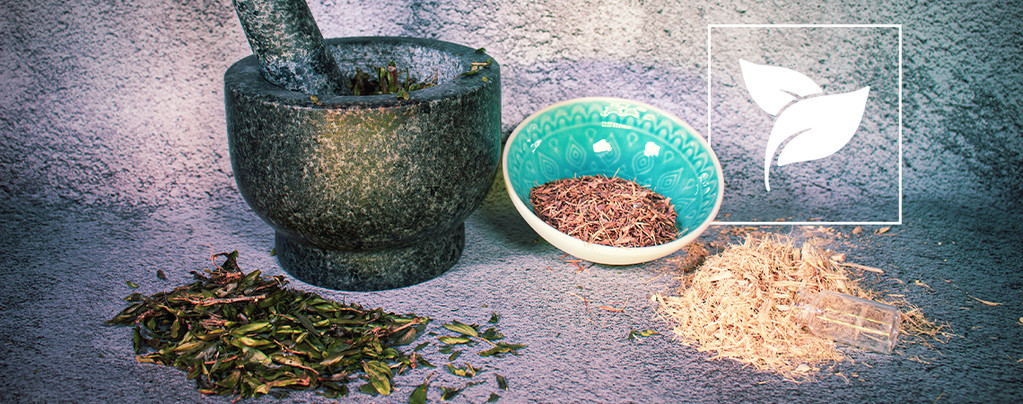 Herbs & Seeds