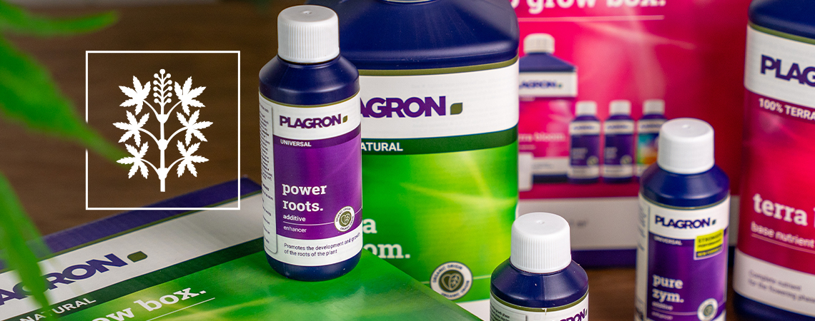Get The Most Out Of Your Plants With Plagron