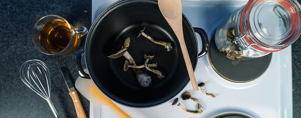 The 10-Day Mushroom Fast: A Journey Into The Soul