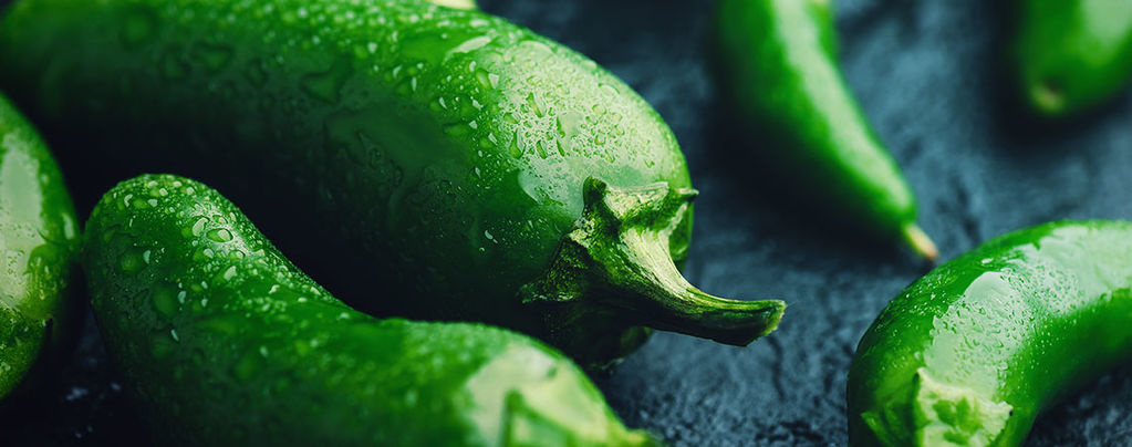 Jalapeno Pepper How To Grow And Use
