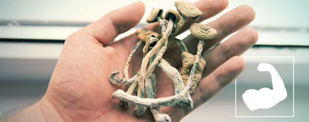 What Are The Strongest Magic Mushroom Species?