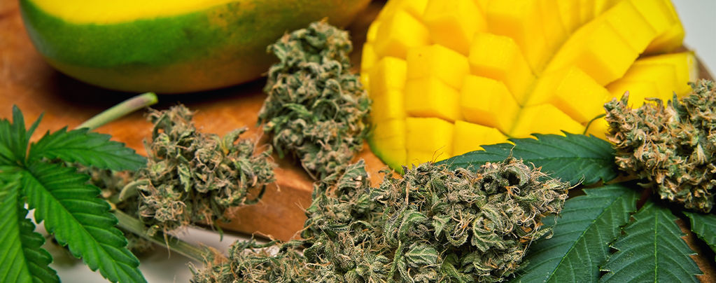 What Is Myrcene In Cannabis?