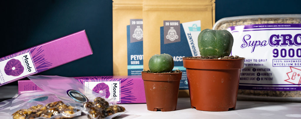 10 Best Gifts For Psychonauts