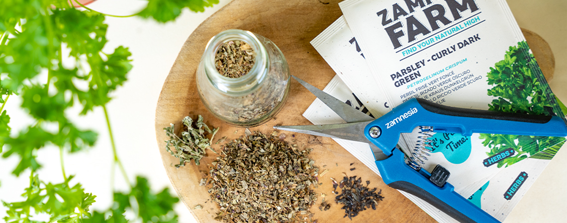 How To Properly Dry Herbs At Home
