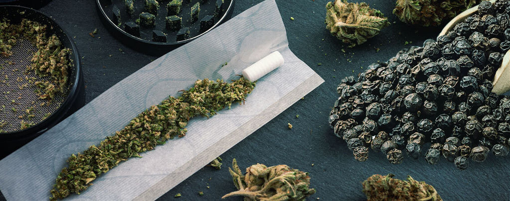 Can Black Pepper Help Manage the Effects of Cannabis?