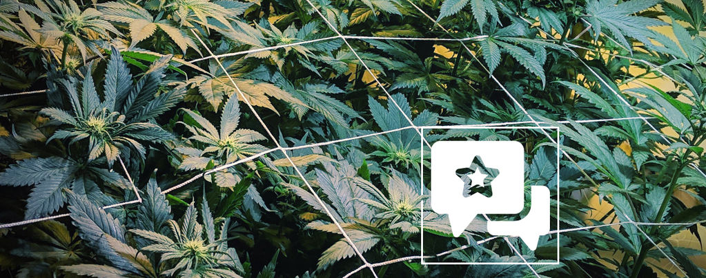 Strain Review: Casey Jones