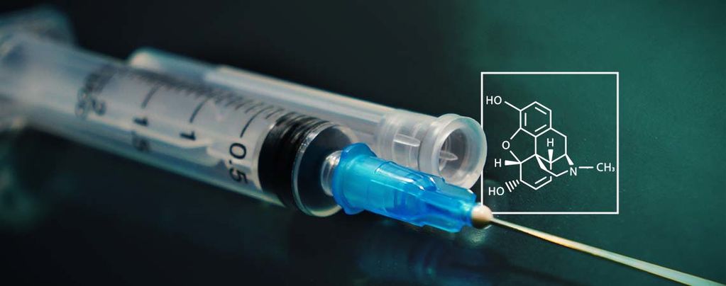 New Research: Make Morphine Out Of Sugar And Water