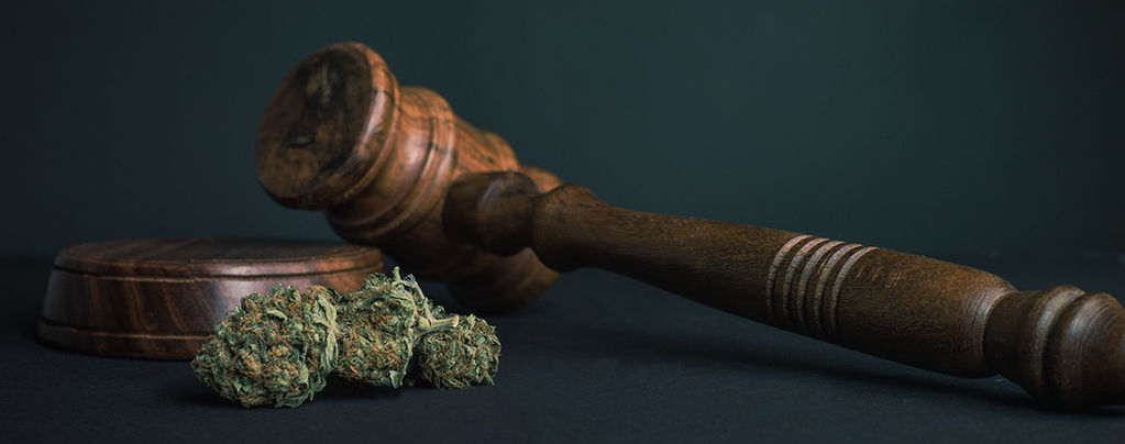 10 Reasons ALL Drugs Should Be Legalised