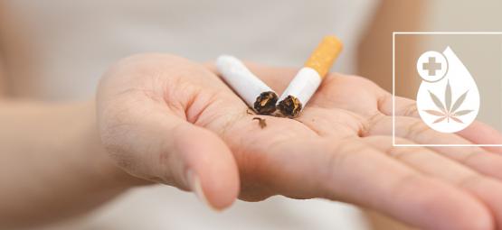 Quit smoking today with CBD: the natural solution