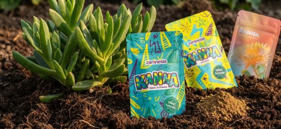 What Is The Best Way To Consume Kanna?