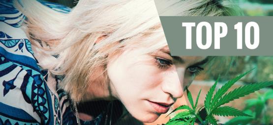 Top 10 Low-Odour Cannabis Strains To Minimise Smell