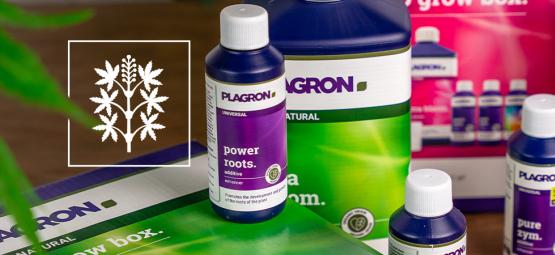 Get The Most Out Of Your Plants With Plagron