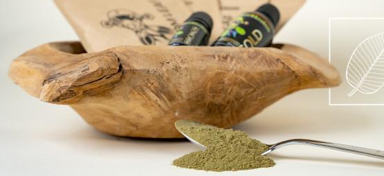 Everything you need to know about kratom