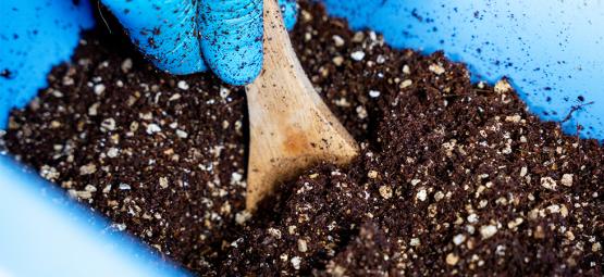 How To Prepare CVG Substrate Using The Bucket Tek