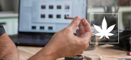 How to be a high-functioning stoner