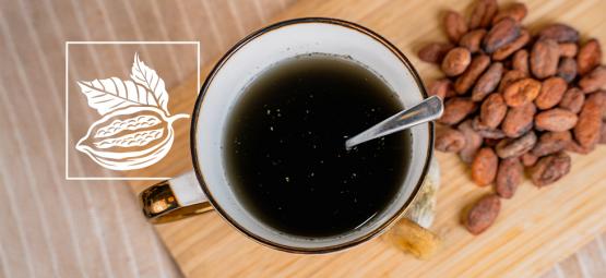 The Aztec Combo: Mixing Psilocybin With Cacao