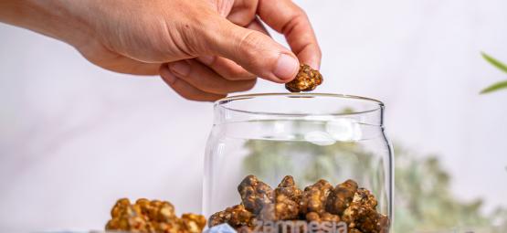 How to store magic truffles?