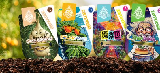Welcome to Sector Z: A classified cannabis discovery