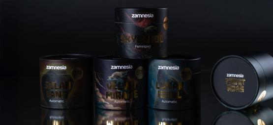 TRIBE at Zamnesia: Cultivate the rare, the bold, the legendary