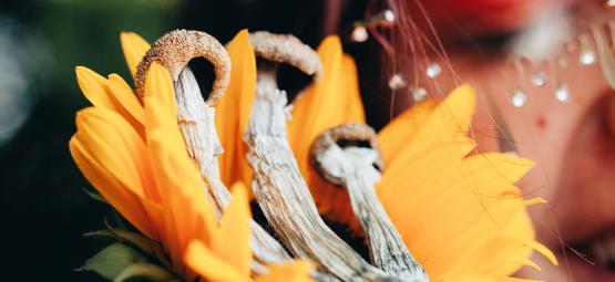 How to prepare for a safe psychedelic trip