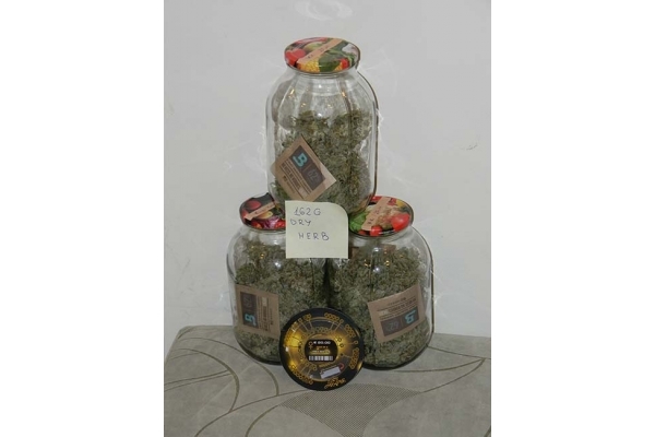 King's Kush Autoflowering (Greenhouse Seeds) feminized King's Kush Autoflowering (Greenhouse Seeds) feminized